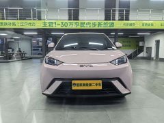 BYD 305km Edition - ფოტო 2
