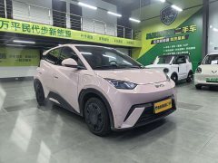 BYD 305km Edition - ფოტო 3