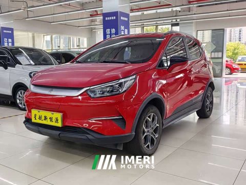 2021 BYD Pro 401KM Luxury Version - ავტომობილი ჩინეთიდან