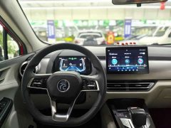 BYD Pro 401KM Luxury Version - ფოტო 15
