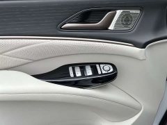 Denza D9 DM-i 970 AWD Version - ფოტო 18