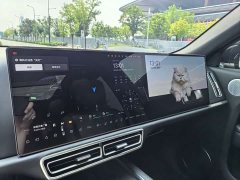 Li Auto L9 Max - ფოტო 6