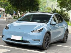 Tesla Model Y Standard Range Edition - ფოტო 1