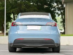 Tesla Model Y Standard Range Edition - ფოტო 10