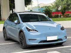 Tesla Model Y Standard Range Edition - ფოტო 3