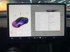 Tesla Model Y Standard Range Edition - ფოტო 4