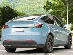 Tesla Model Y Standard Range Edition - ფოტო 9