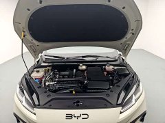 BYD 06 DM-i Smart Drive Edition 80KMPremium Version - ფოტო 17