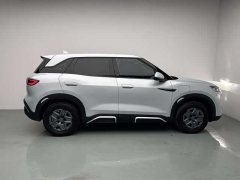 BYD UP Smart Drive Edition 401KM Edition - ფოტო 4