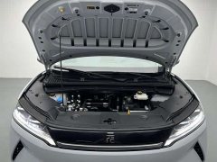 BYD UP Smart Drive Edition 401KM Edition - ფოტო 8