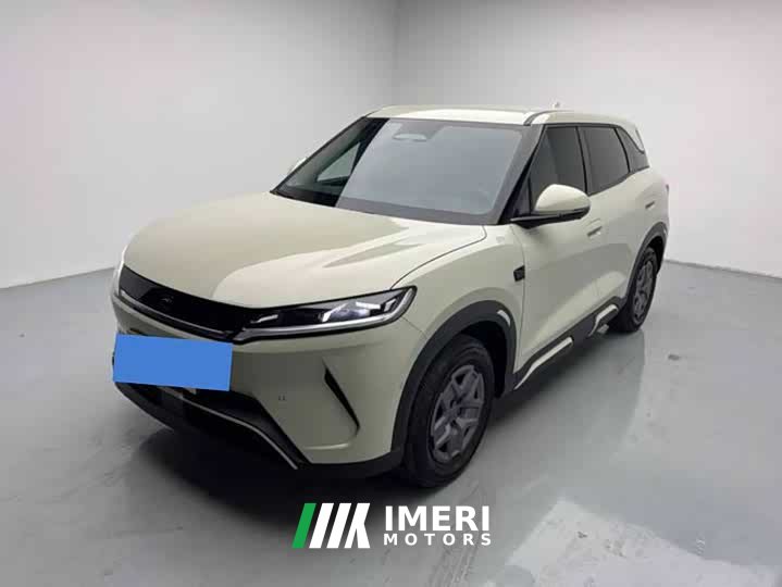 BYD UP Smart Drive Edition 401KM Edition - ავტომობილი ჩინეთიდან