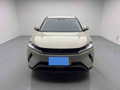 BYD UP Smart Drive Edition 401KM Edition - ფოტო 3
