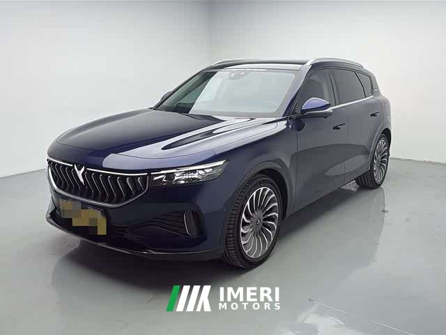 Voyah FREE AWDEREVLuxury - ავტომობილი ჩინეთიდან