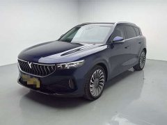 Voyah FREE AWDEREVLuxury - ფოტო 1