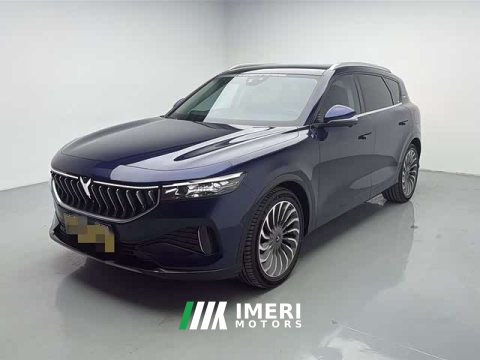 2021 Voyah FREE AWDEREVLuxury - ავტომობილი ჩინეთიდან