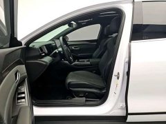 BYD L EV 545KM Version - ფოტო 5