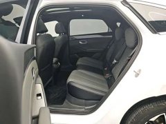 BYD L EV 545KM Version - ფოტო 6