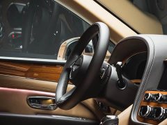 Land Rover 4.0T V8 - ფოტო 14