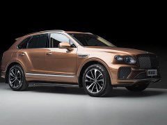 Land Rover 4.0T V8 - ფოტო 6