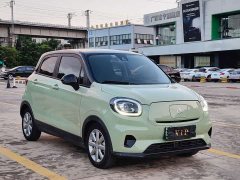 Leapmotor T03 Edition - ფოტო 3