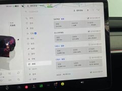 Tesla Model Y Edition - ფოტო 15