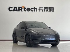 Tesla Model Y Edition - ფოტო 2