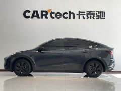 Tesla Model Y Edition - ფოტო 5