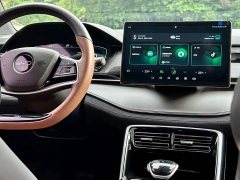 BYD DM-i 112KM Premium Version - ფოტო 9