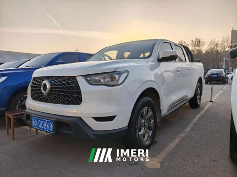 2023 Wuling 2.0T Edition AWD EditionGW4D20M - ავტომობილი ჩინეთიდან