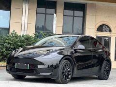 Tesla Model Y Standard Range Edition - ფოტო 1