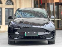 Tesla Model Y Standard Range Edition - ფოტო 2