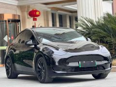 Tesla Model Y Standard Range Edition - ფოტო 3