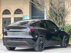 Tesla Model Y Standard Range Edition - ფოტო 7
