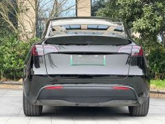 Tesla Model Y Standard Range Edition - ფოტო 8