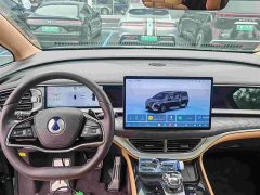 Denza D9 DM-i AWD Version - ფოტო 8