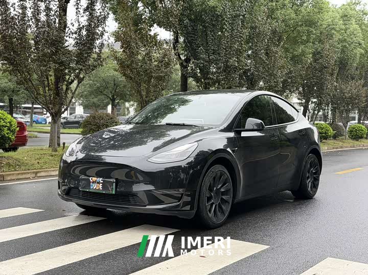 Tesla Model Y Long Range Edition - ავტომობილი ჩინეთიდან