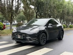 Tesla Model Y Long Range Edition - ფოტო 1