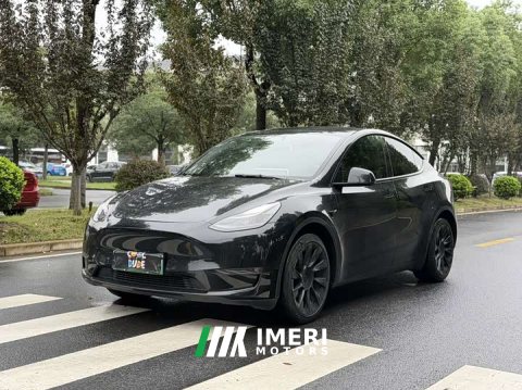 2021 Tesla Model Y Long Range Edition - ავტომობილი ჩინეთიდან