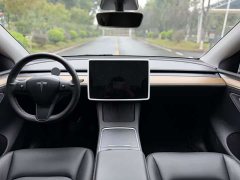 Tesla Model Y Long Range Edition - ფოტო 10