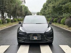 Tesla Model Y Long Range Edition - ფოტო 2