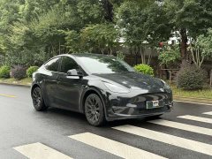 Tesla Model Y Long Range Edition - ფოტო 3