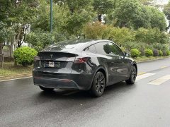 Tesla Model Y Long Range Edition - ფოტო 4