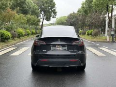 Tesla Model Y Long Range Edition - ფოტო 5