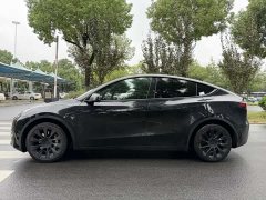 Tesla Model Y Long Range Edition - ფოტო 7