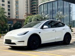 Tesla Model Y Standard Range Edition - ფოტო 1