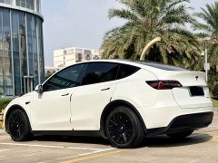 Tesla Model Y Standard Range Edition - ფოტო 17
