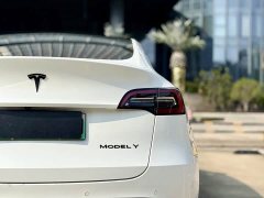 Tesla Model Y Standard Range Edition - ფოტო 18