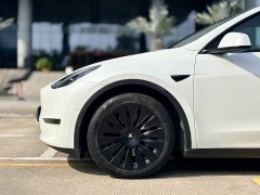 Tesla Model Y Standard Range Edition - ფოტო 19