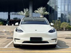 Tesla Model Y Standard Range Edition - ფოტო 2