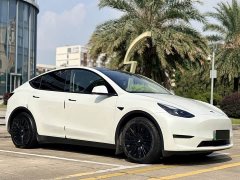 Tesla Model Y Standard Range Edition - ფოტო 3